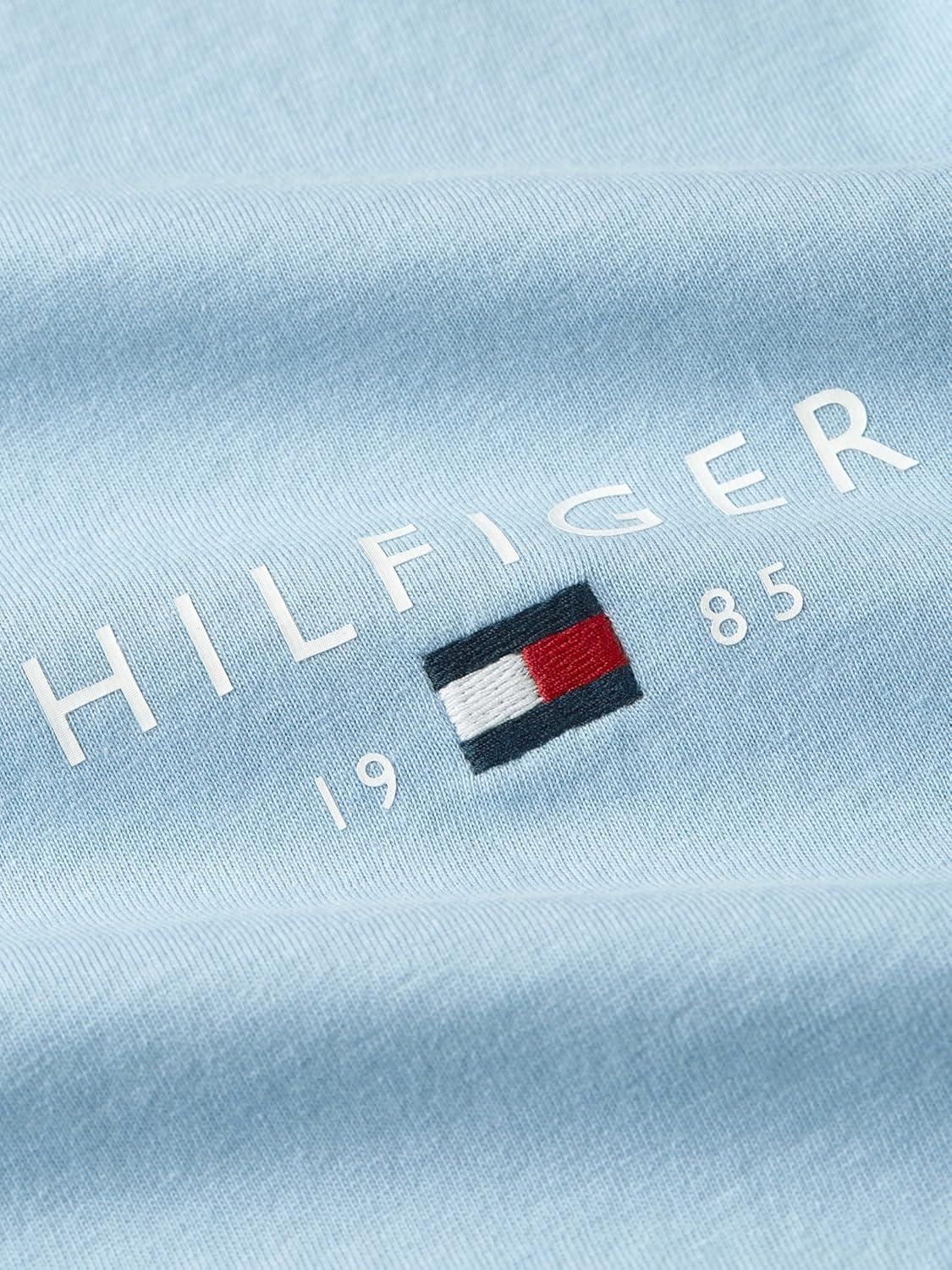 imageTommy Hilfiger Mens Short Sleeve Cotton Graphic TShirts with Embroidered Flag LogoWell Water
