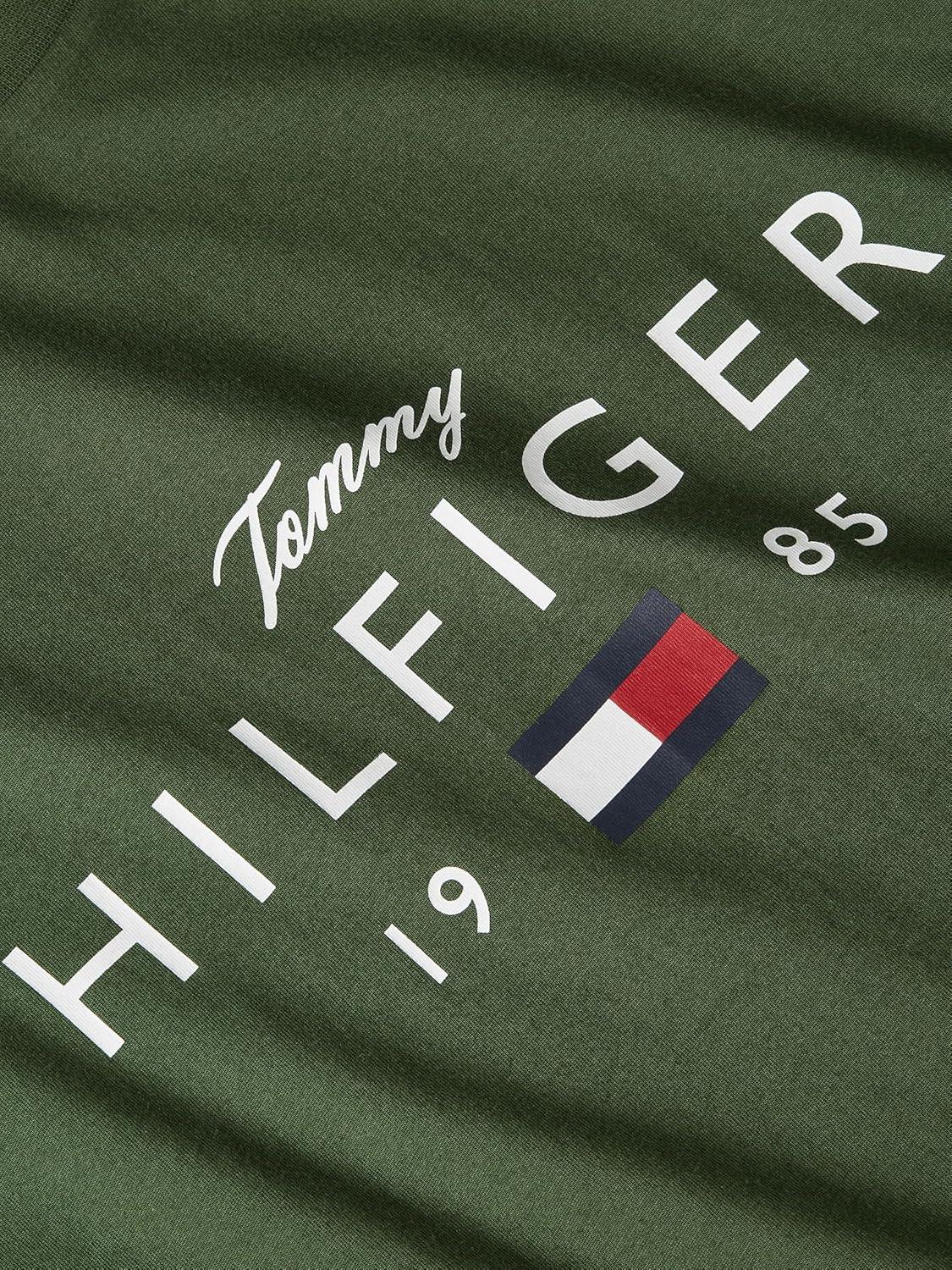 imageTommy Hilfiger Mens Short Sleeve Cotton Graphic TShirts with Printed Script and Flag LogoMountain Pine