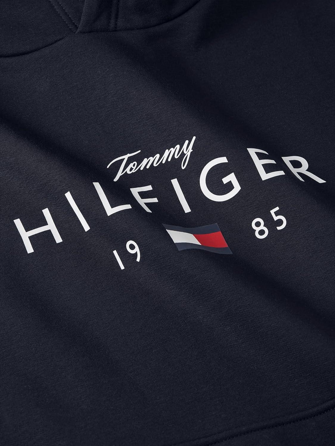 imageTommy Hilfiger mens Medium Weight Cotton Hoodie Sweatshirt With Printed Logo and DrawstringDesert Sky