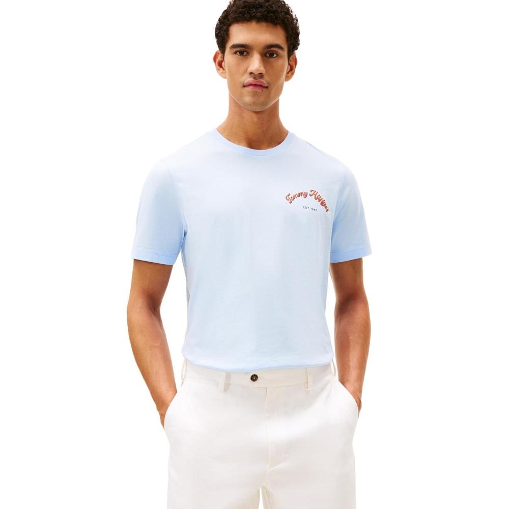 imageTommy Hilfiger Mens Short Sleeve Cotton Graphic TShirts with Printed Arched Back GraphicSweet Blue
