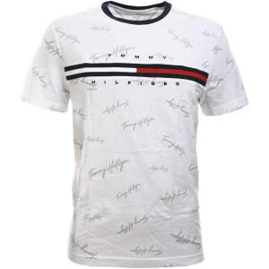 Tommy Hilfiger Mens M Script Tino Ss Tee(Silver Tommy Hilfiger Signature)