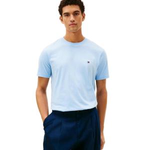 Tommy Hilfiger Mens Short Sleeve Cotton Graphic T-Shirts with Embroidered Flag Logo(Well Water)