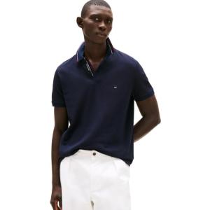 Tommy Hilfiger Mens Short Sleeve Polo Shirts in Regular Fit with Designs, Available in Big and Tall(Desert Sky)