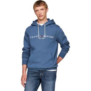 Tommy Hilfiger mens Medium Weight Fleece Hoodie Sweatshirt With Embroidered Logo, Also Available in Big & Tall(Aegean Sea)