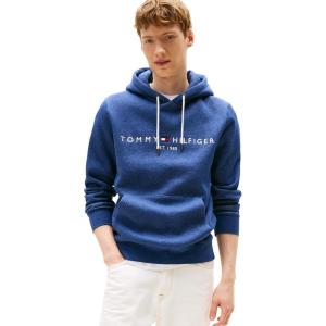 Tommy Hilfiger mens Medium Weight Fleece Hoodie Sweatshirt With Embroidered Logo, Also Available in Big & Tall(Aegean Sea Heather)
