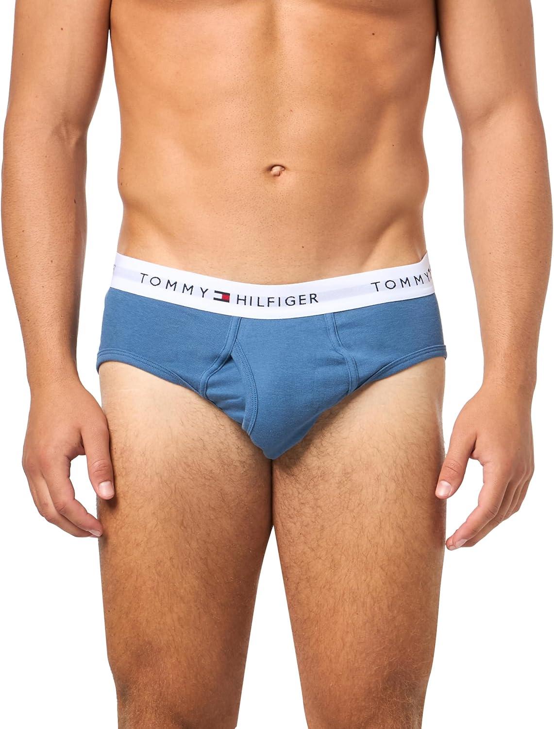 imageTommy Hilfiger Mens Cotton Classic 4Pack BriefRomantic Blue Primary Red North Sky Blue Navy