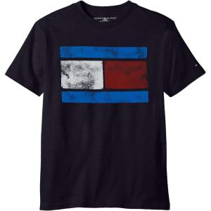 Tommy Hilfiger Boys’ Short Sleeve Graphic Crew Neck T-Shirt, Soft, Comfortable, Relaxed Fit(Swim Navy)