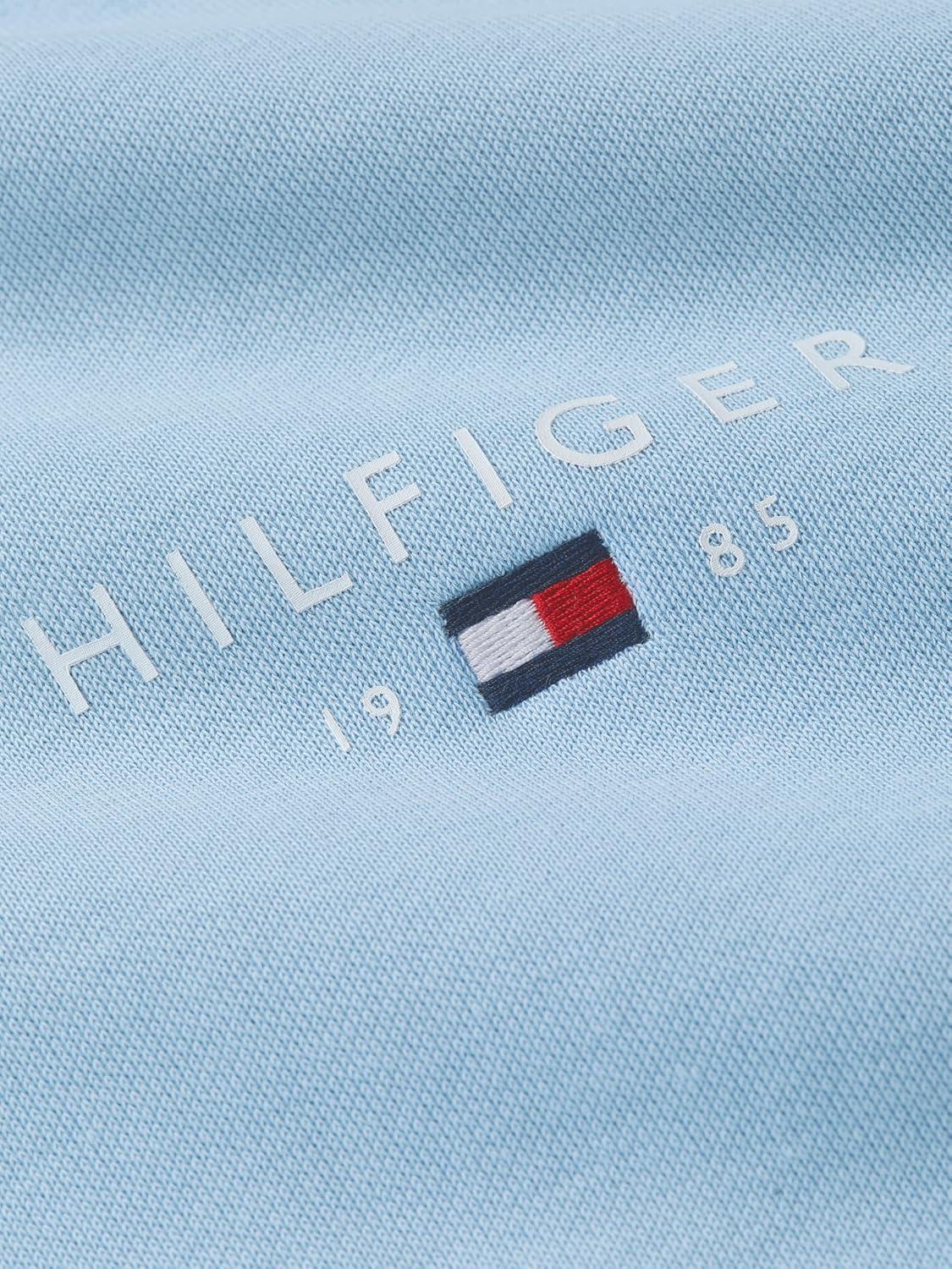imageTommy Hilfiger mens Medium Weight Cotton Hoodie Sweatshirt With Embroidered Flag Logo and DrawstringWell Water