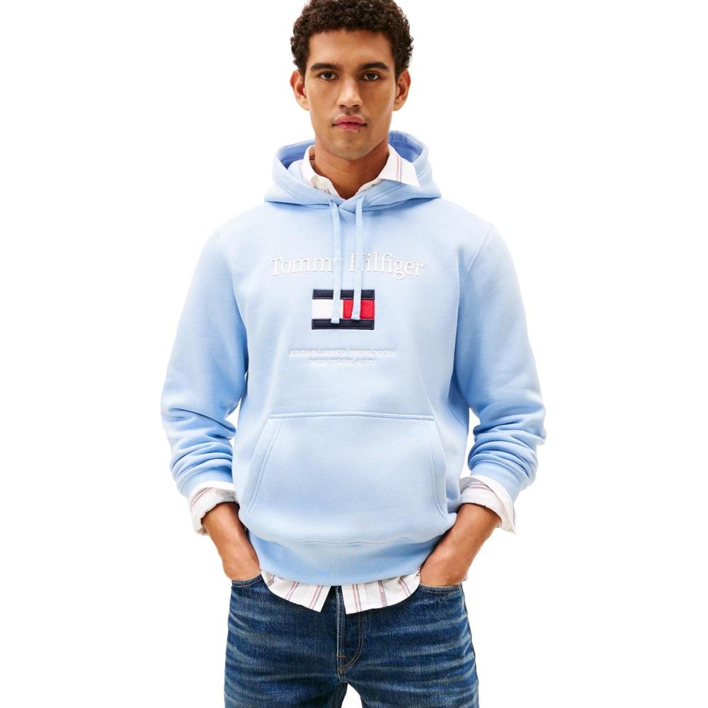 imageTommy Hilfiger mens Medium Weight Cotton Hoodie Sweatshirt With Embroidered LogoWell Water