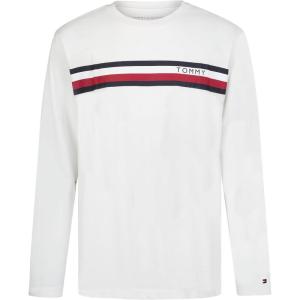 Tommy Hilfiger Boys Long Sleeve Crew Neck T-Shirt(Linear Split Ecru)