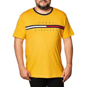 Tommy Hilfiger Mens Short Sleeve Tino T-Shirt(Golden Rod-pt)