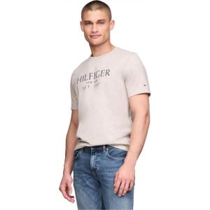 Tommy Hilfiger Mens Short Sleeve Cotton Graphic T-Shirts with Logo, Also Available in Big & Tall(Heathered Pebble)
