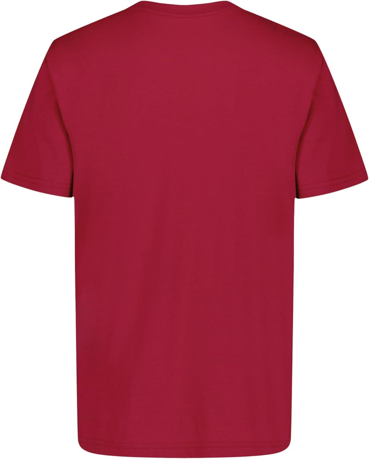 imageTommy Hilfiger Boys Short Sleeve Solid VNeck TShirt Soft Comfortable Relaxed FitScarlet Sage