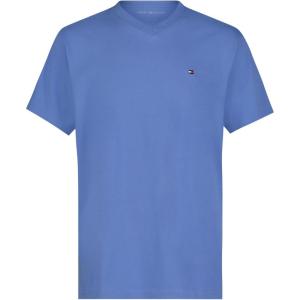 Tommy Hilfiger Boys’ Short Sleeve Flag Solid V-Neck T-Shirt(Spring Blue)