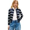 Big Stripe Dark Night Navy / Ivory Petal