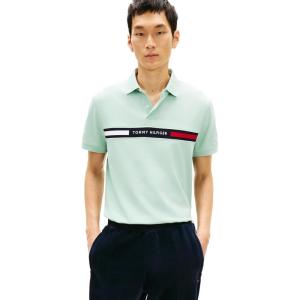 Tommy Hilfiger Men’s Short Sleeve Casual Polo Shirts in Regular Fit with Chest Logo Designs(Crushed Mint)