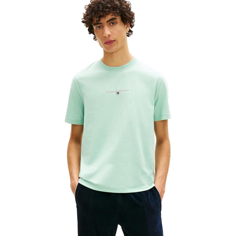 imageTommy Hilfiger Mens Short Sleeve Cotton Graphic TShirts with Embroidered Logo amp Flag GraphicCrushed Mint