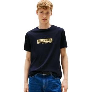Tommy Hilfiger Men’s Short Sleeve Cotton Graphic T-Shirts with Printed Logo, Also Available in Big & Tall(Desert Sky)