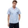Blue Spell / Stripe