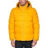 Arctic Yellow