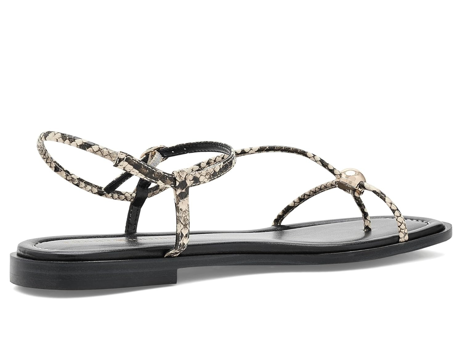 image:imageTommy Hilfiger TarasMedium Natural Snake Multi
