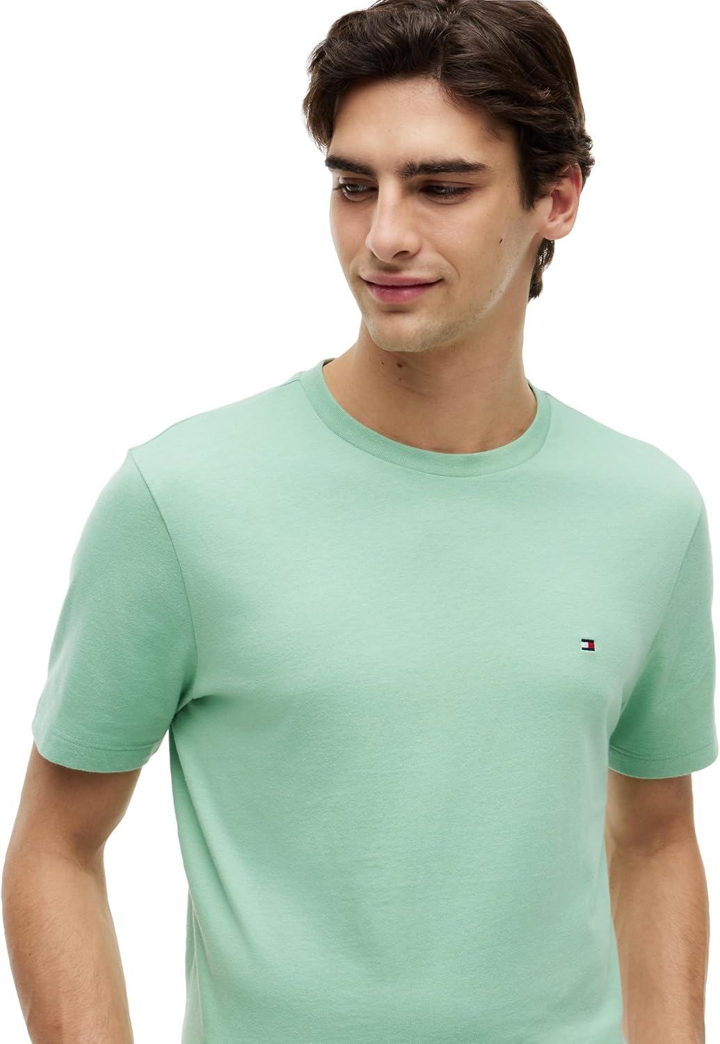 image:imageTommy Hilfiger Mens Short Sleeve Cotton Crewneck TShirts in Regular FitCut Grass