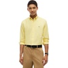 Sunflower Yellow