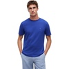 Pigment Blue