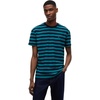 Polar Teal Stripe