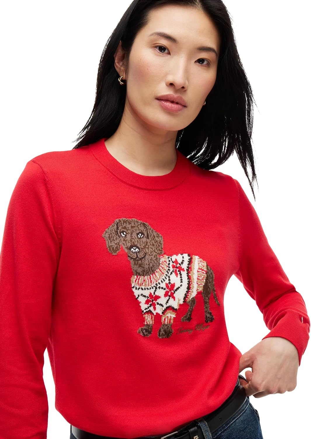 image:imageTommy Hilfiger Womens Long Sleeve Cotton Crewneck Graphic Sweater PulloverRed Fairisle Dog