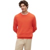 Brilliant Orange