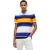 Blue Stripe / Multi