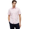 Classic Pink / White Stripe