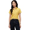 Breton Stripe/ Ornamental Yellow Ecru